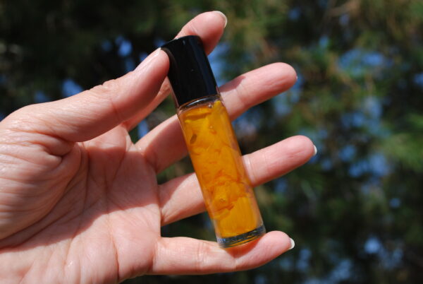 chedriel.com Sunflower Infused Lip Oil on hand