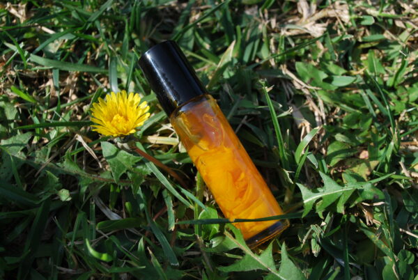 chedriel.com Sunflower Infused Lip Oil grass