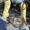 chedriel.com golden pineapple ankle socks rooftop