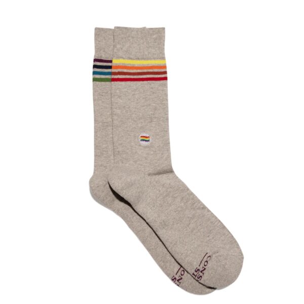 chedriel.com rainbow gray crew socks
